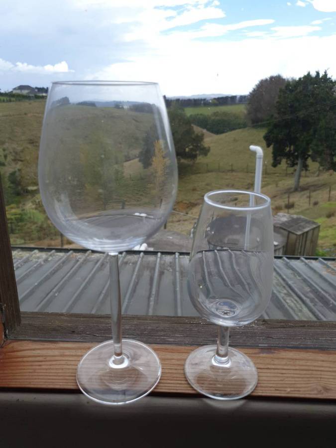 Wine glasses deals bulk