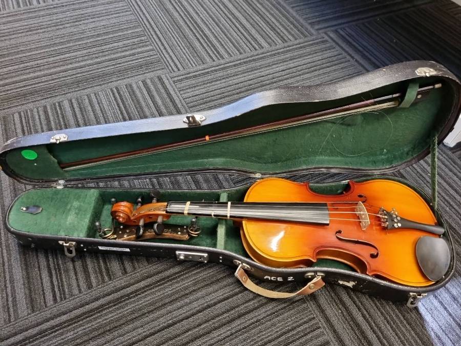 Parrot violin on sale